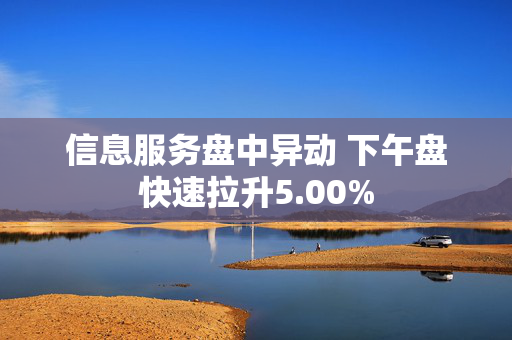 信息服务盘中异动 下午盘快速拉升5.00%