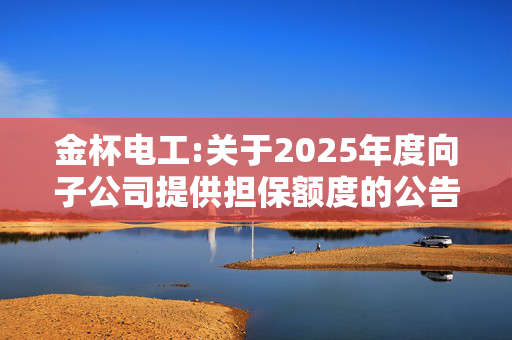 金杯电工:关于2025年度向子公司提供担保额度的公告