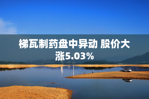 梯瓦制药盘中异动 股价大涨5.03%