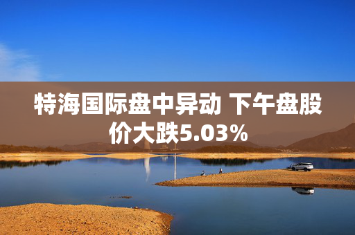 特海国际盘中异动 下午盘股价大跌5.03%