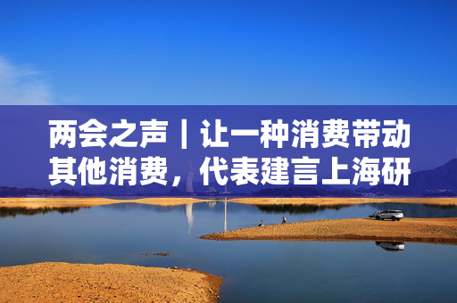 两会之声｜让一种消费带动其他消费，代表建言上海研究制定“套票”方案