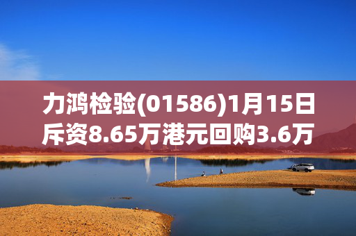 力鸿检验(01586)1月15日斥资8.65万港元回购3.6万股