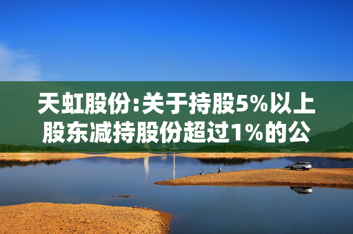 天虹股份:关于持股5%以上股东减持股份超过1%的公告