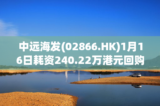 中远海发(02866.HK)1月16日耗资240.22万港元回购236.1万股