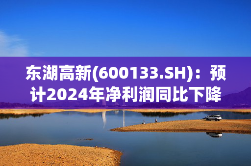 东湖高新(600133.SH)：预计2024年净利润同比下降44%-54%