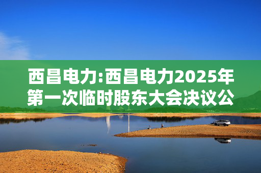 西昌电力:西昌电力2025年第一次临时股东大会决议公告