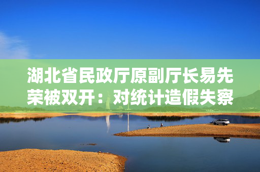 湖北省民政厅原副厅长易先荣被双开：对统计造假失察，随意决策