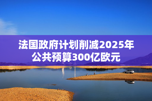 法国政府计划削减2025年公共预算300亿欧元