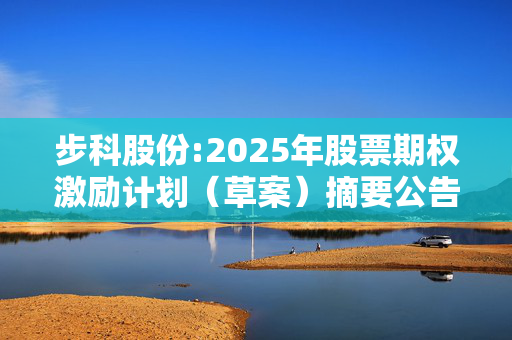 步科股份:2025年股票期权激励计划（草案）摘要公告