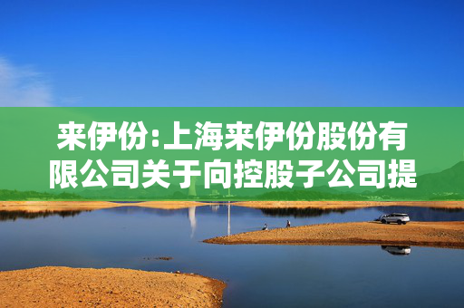 来伊份:上海来伊份股份有限公司关于向控股子公司提供财务资助的公告