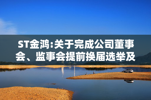 ST金鸿:关于完成公司董事会、监事会提前换届选举及聘任公司高级管理人员的公告