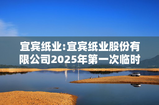 宜宾纸业:宜宾纸业股份有限公司2025年第一次临时股东大会决议公告