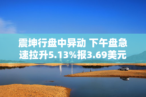 震坤行盘中异动 下午盘急速拉升5.13%报3.69美元