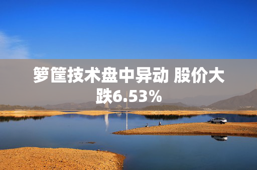 箩筐技术盘中异动 股价大跌6.53%