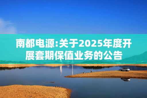 南都电源:关于2025年度开展套期保值业务的公告