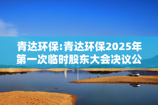 青达环保:青达环保2025年第一次临时股东大会决议公告