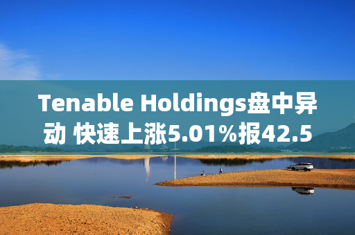 Tenable Holdings盘中异动 快速上涨5.01%报42.55美元