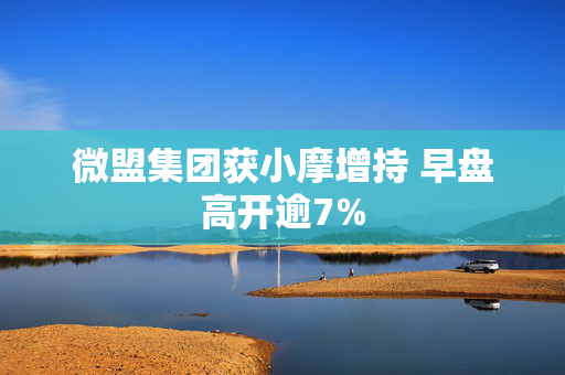 微盟集团获小摩增持 早盘高开逾7%