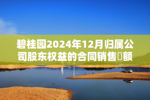 碧桂园2024年12月归属公司股东权益的合同销售金额约34.2亿元