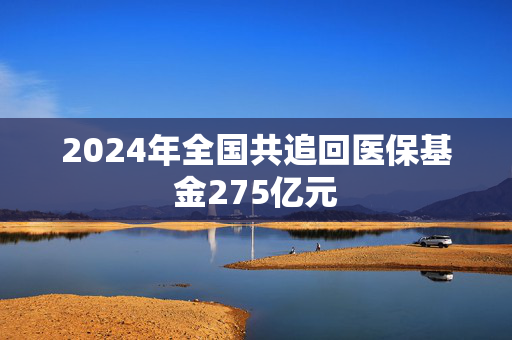 2024年全国共追回医保基金275亿元