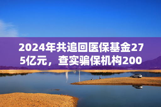 2024年共追回医保基金275亿元，查实骗保机构2008家