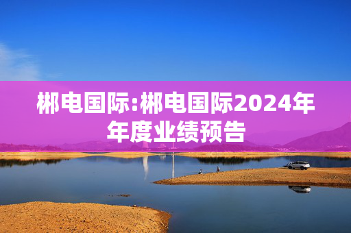 郴电国际:郴电国际2024年年度业绩预告