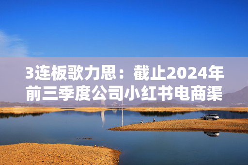 3连板歌力思：截止2024年前三季度公司小红书电商渠道销售收入约为700万元