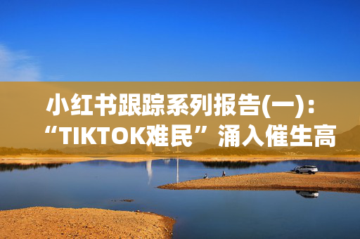 小红书跟踪系列报告(一)：“TIKTOK难民”涌入催生高热度 梳理小红书全生态链