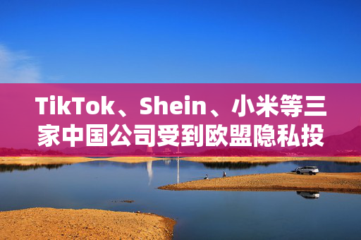 TikTok、Shein、小米等三家中国公司受到欧盟隐私投诉