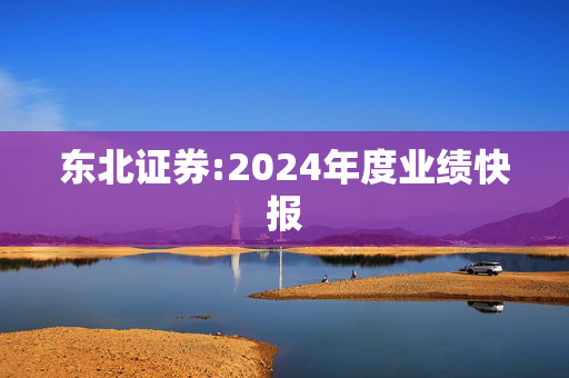 东北证券:2024年度业绩快报