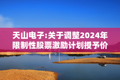 天山电子:关于调整2024年限制性股票激励计划授予价格及授予数量的公告