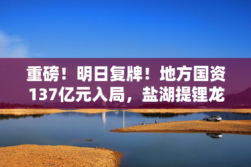 重磅！明日复牌！地方国资137亿元入局，盐湖提锂龙头易主