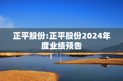 正平股份:正平股份2024年度业绩预告