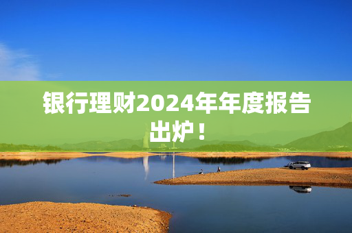 银行理财2024年年度报告出炉！