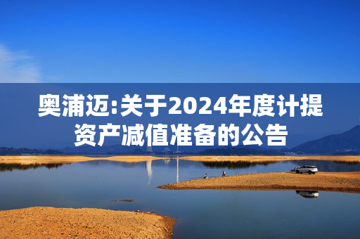 奥浦迈:关于2024年度计提资产减值准备的公告