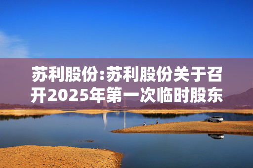 苏利股份:苏利股份关于召开2025年第一次临时股东大会的通知