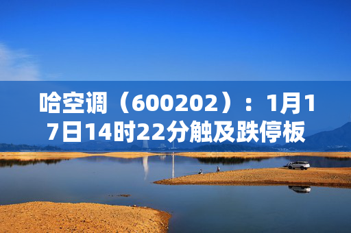 哈空调（600202）：1月17日14时22分触及跌停板