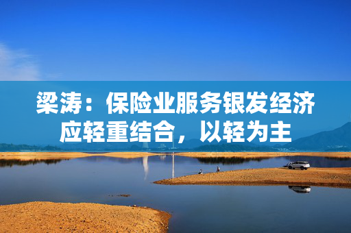 梁涛：保险业服务银发经济应轻重结合，以轻为主