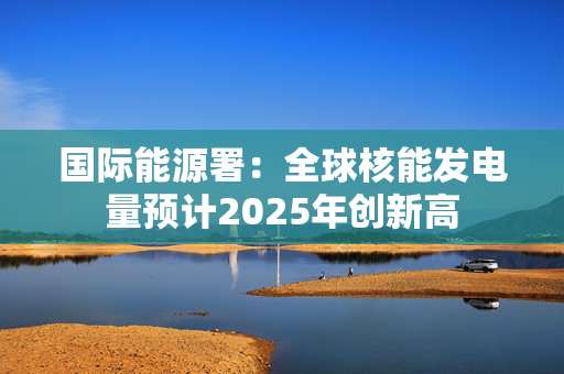 国际能源署：全球核能发电量预计2025年创新高