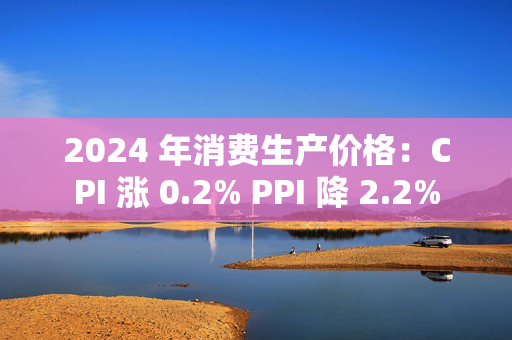 2024 年消费生产价格：CPI 涨 0.2% PPI 降 2.2%