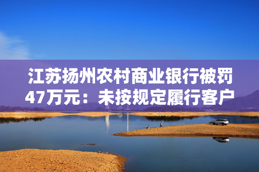 江苏扬州农村商业银行被罚47万元：未按规定履行客户身份识别义务