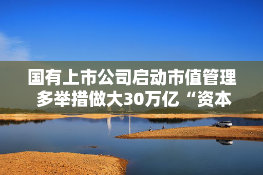 国有上市公司启动市值管理 多举措做大30万亿“资本局”