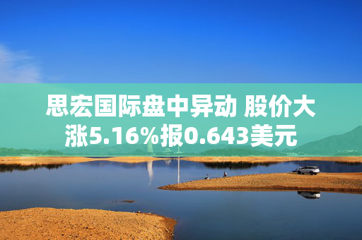 思宏国际盘中异动 股价大涨5.16%报0.643美元