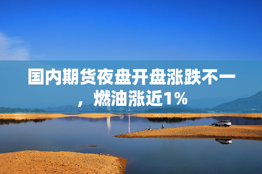 国内期货夜盘开盘涨跌不一，燃油涨近1%