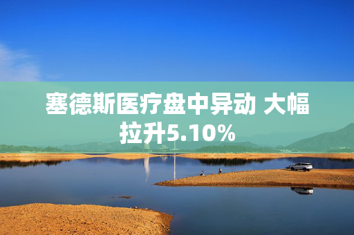 塞德斯医疗盘中异动 大幅拉升5.10%