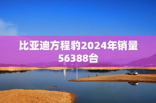 比亚迪方程豹2024年销量56388台