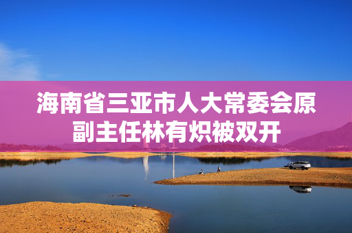 海南省三亚市人大常委会原副主任林有炽被双开