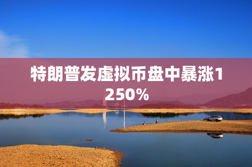 特朗普发虚拟币盘中暴涨1250%