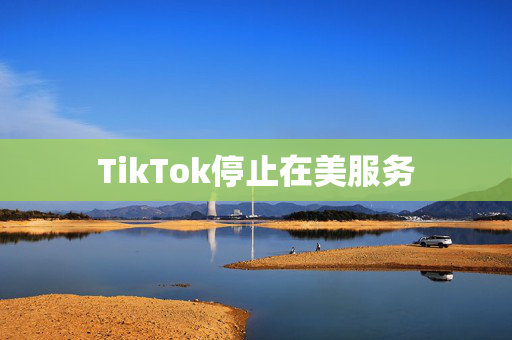 TikTok停止在美服务