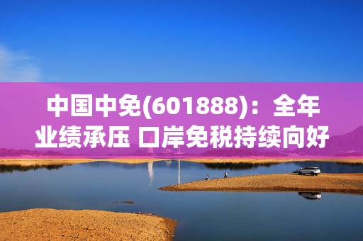 中国中免(601888)：全年业绩承压 口岸免税持续向好